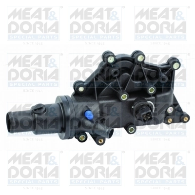 Thermostat, coolant